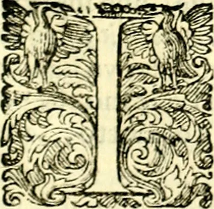 An illustration from Delle imprese trattato, 1592, leaf 442