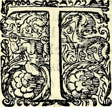 An illustration from Delle imprese trattato, 1592, leaf 461