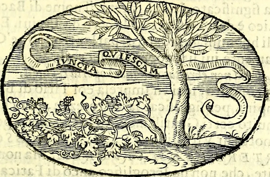 An illustration from Delle imprese trattato, 1592, leaf 466