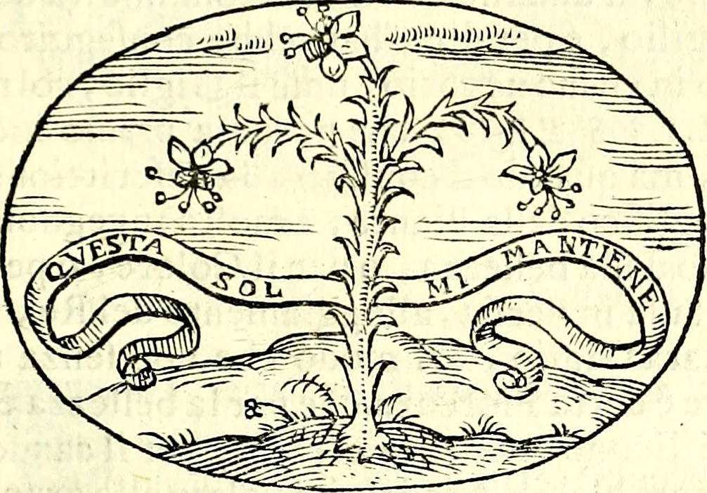 An illustration from Delle imprese trattato, 1592, leaf 476