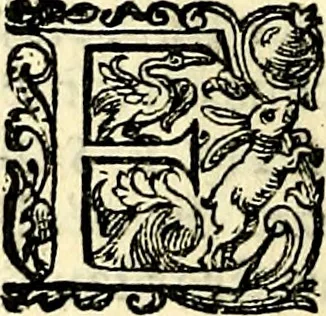 An illustration from Delle imprese trattato, 1592, leaf 489