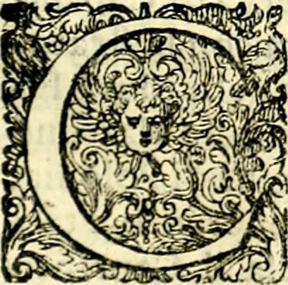An illustration from Delle imprese trattato, 1592, leaf 490