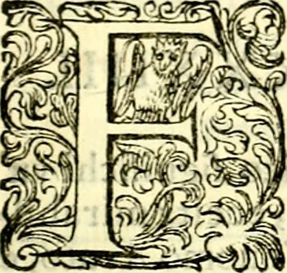 An illustration from Delle imprese trattato, 1592, leaf 492
