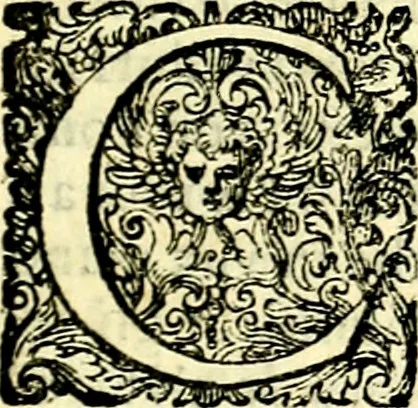 An illustration from Delle imprese trattato, 1592, leaf 494