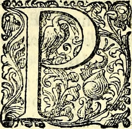 An illustration from Delle imprese trattato, 1592, leaf 497