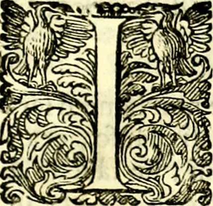 An illustration from Delle imprese trattato, 1592, leaf 510