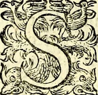 An illustration from Delle imprese trattato, 1592, leaf 515