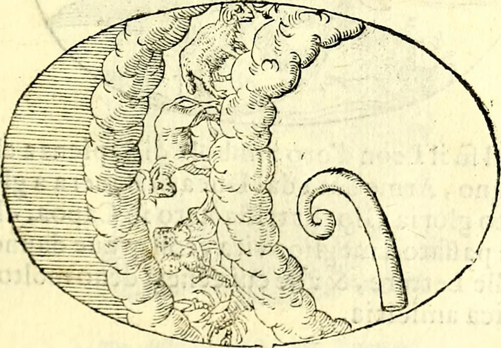 An illustration from Delle imprese trattato, 1592, leaf 516