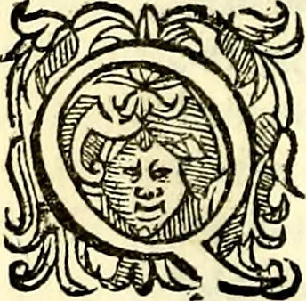 An illustration from Delle imprese trattato, 1592, leaf 525