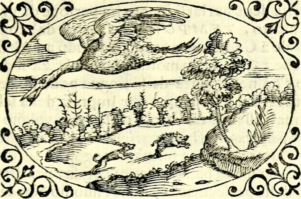 An illustration from Delle imprese trattato, 1592, leaf 528