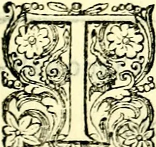 An illustration from Delle imprese trattato, 1592, leaf 530