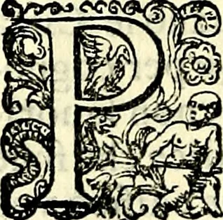 An illustration from Delle imprese trattato, 1592, leaf 531
