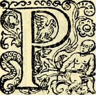 An illustration from Delle imprese trattato, 1592, leaf 535