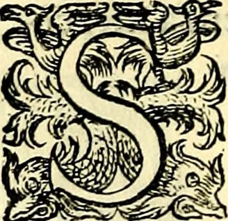 An illustration from Delle imprese trattato, 1592, leaf 541