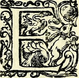 An illustration from Delle imprese trattato, 1592, leaf 543