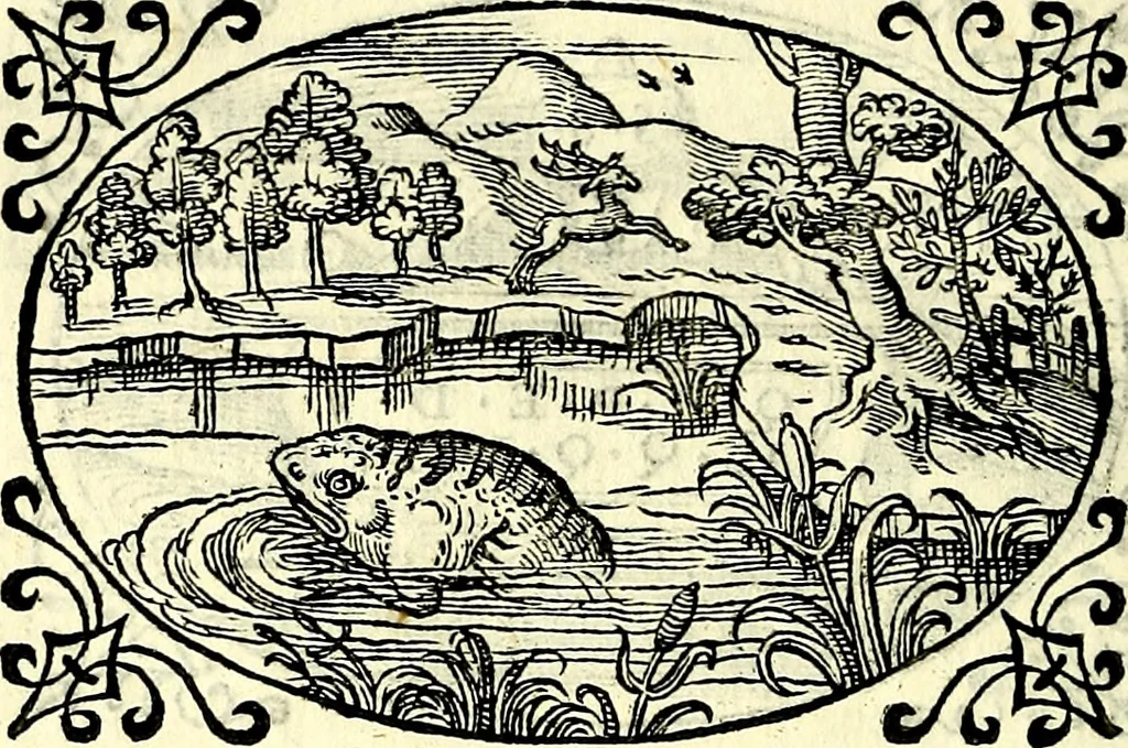 An illustration from Delle imprese trattato, 1592, leaf 547