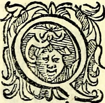 An illustration from Delle imprese trattato, 1592, leaf 551