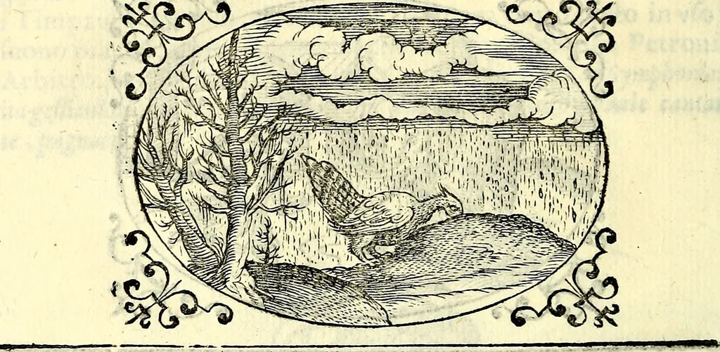 An illustration from Delle imprese trattato, 1592, leaf 561