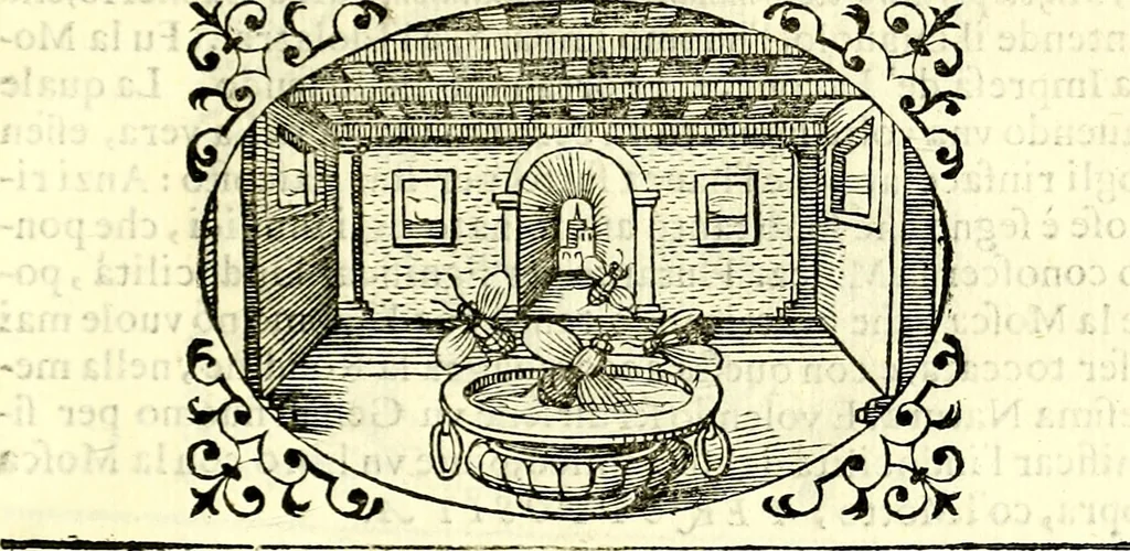 An illustration from Delle imprese trattato, 1592, leaf 566