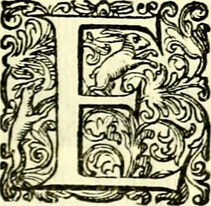 An illustration from Delle imprese trattato, 1592, leaf 566