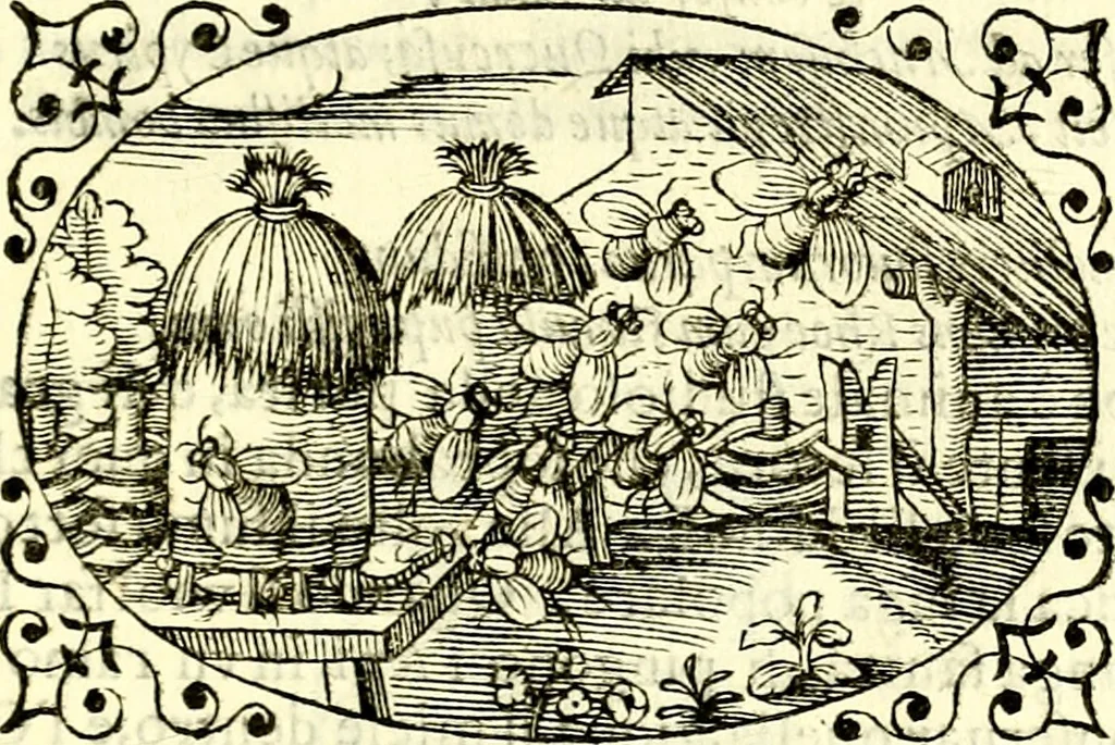 An illustration from Delle imprese trattato, 1592, leaf 572