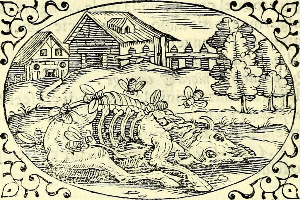 An illustration from Delle imprese trattato, 1592, leaf 577