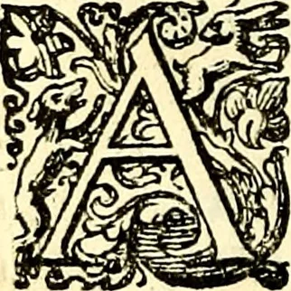 An illustration from Delle imprese trattato, 1592, leaf 581