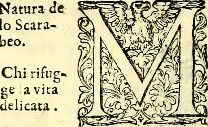 An illustration from Delle imprese trattato, 1592, leaf 585