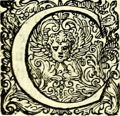 An illustration from Delle imprese trattato, 1592, leaf 592