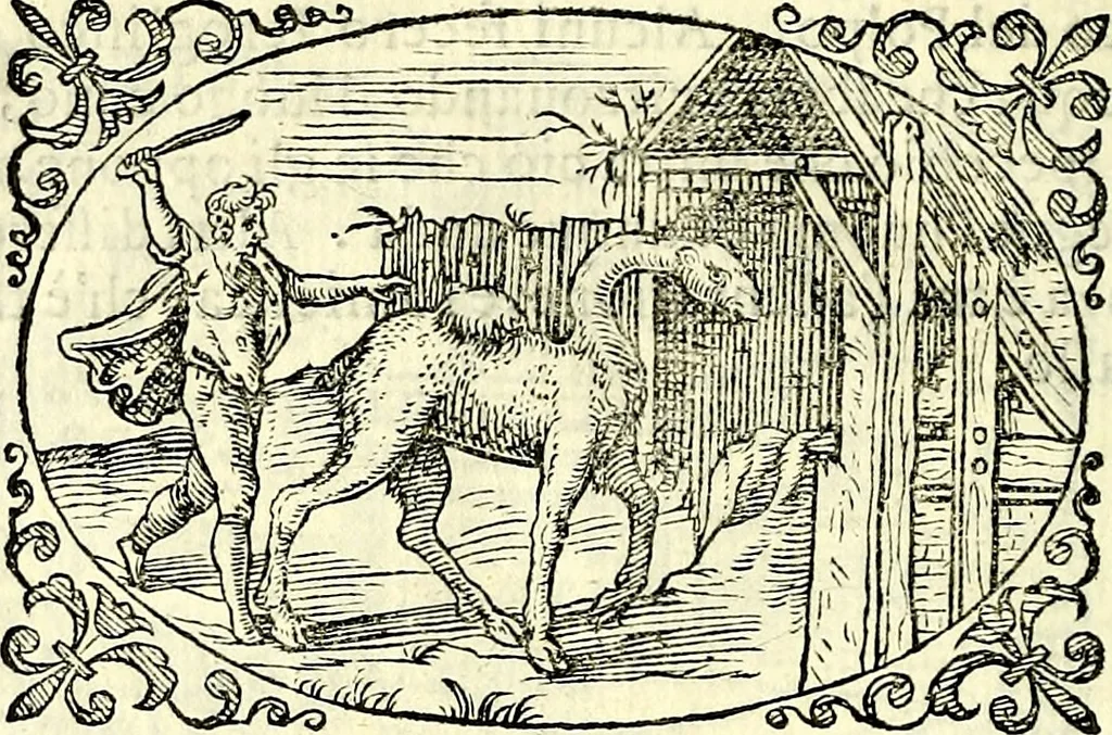 An illustration from Delle imprese trattato, 1592, leaf 601