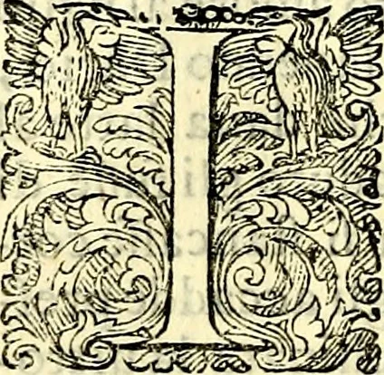 An illustration from Delle imprese trattato, 1592, leaf 615