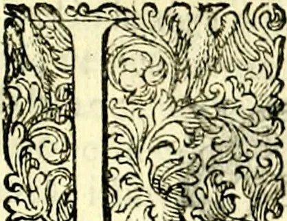 An illustration from Delle imprese trattato, 1592, leaf 618