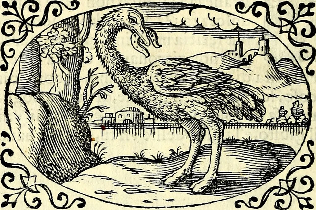 An illustration from Delle imprese trattato, 1592, leaf 625