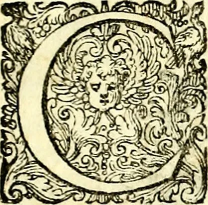 An illustration from Delle imprese trattato, 1592, leaf 628