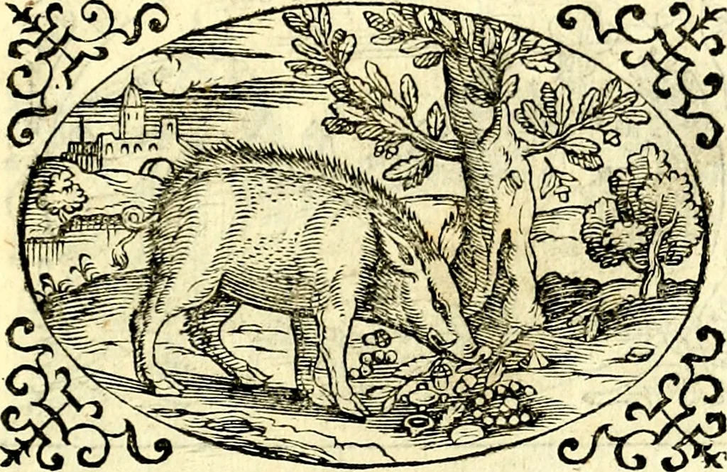 An illustration from Delle imprese trattato, 1592, leaf 632