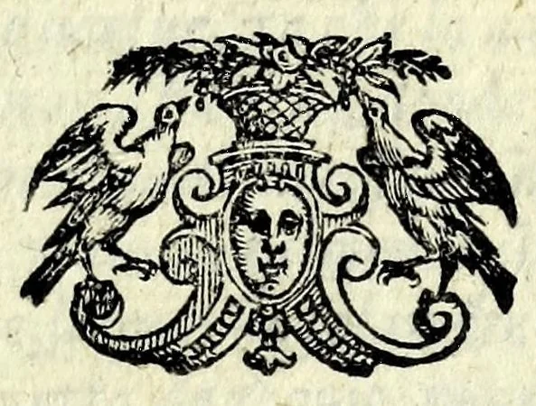 An illustration from Delle lettere di M. Andrea Calmo, libro primo[-quarto] : nel quale si contiene varij, & ingeniosi discorsi filosofici, in piu lettere a diuersi indrizzate, compresi, 1580, leaf 345