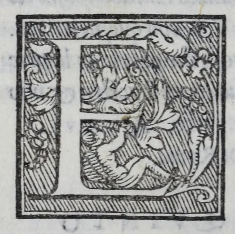 An illustration from Delle lettere di m. Pietro Bembo ... primo[-secondo] volvme, 1560, leaf 166