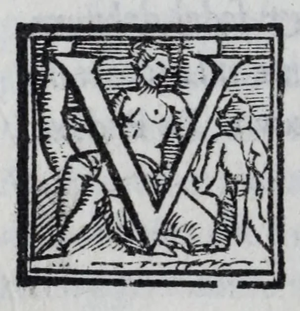 An illustration from Delle lettere di m. Pietro Bembo ... primo[-secondo] volvme, 1560, leaf 230