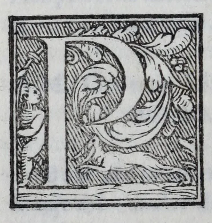 An illustration from Delle lettere di m. Pietro Bembo ... primo[-secondo] volvme, 1560, leaf 136