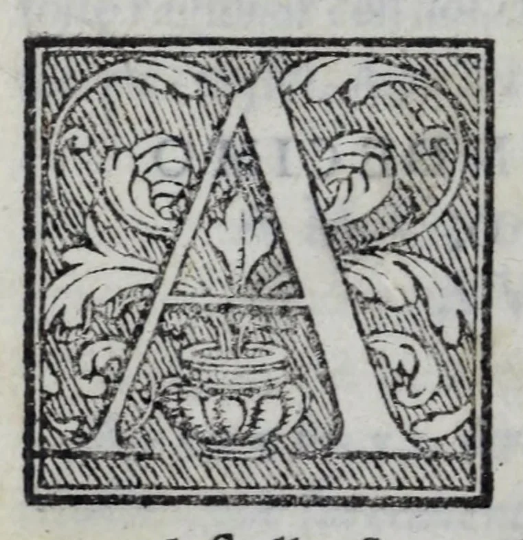 An illustration from Delle lettere di m. Pietro Bembo ... primo[-secondo] volvme, 1560, leaf 324