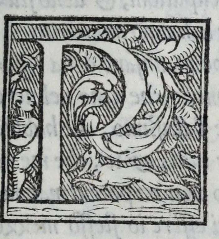 An illustration from Delle lettere di m. Pietro Bembo ... primo[-secondo] volvme, 1560, leaf 45