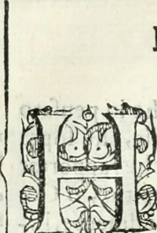 An illustration from Dell'elixir vitæ, 1624, leaf 111