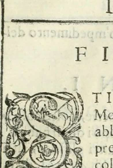 An illustration from Dell'elixir vitæ, 1624, leaf 116