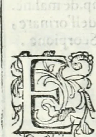 An illustration from Dell'elixir vitæ, 1624, leaf 121