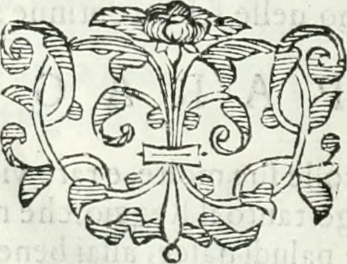 An illustration from Dell'elixir vitæ, 1624, leaf 127