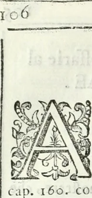 An illustration from Dell'elixir vitæ, 1624, leaf 129