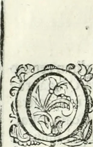 An illustration from Dell'elixir vitæ, 1624, leaf 131