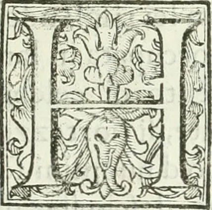 An illustration from Dell'elixir vitæ, 1624, leaf 14
