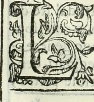 An illustration from Dell'elixir vitæ, 1624, leaf 142