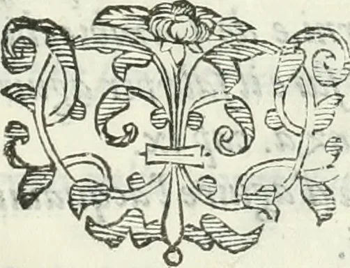 An illustration from Dell'elixir vitæ, 1624, leaf 152